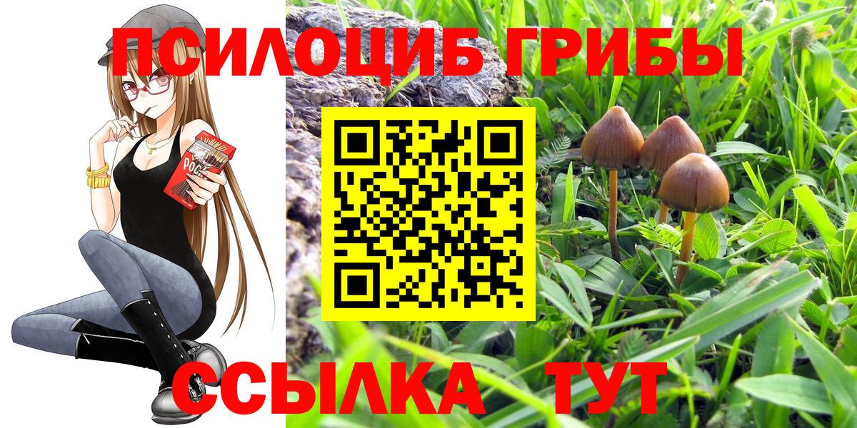 Тулун  купить наркоту  Вход с VPN  Псилоцибиновые грибы ЛСД 